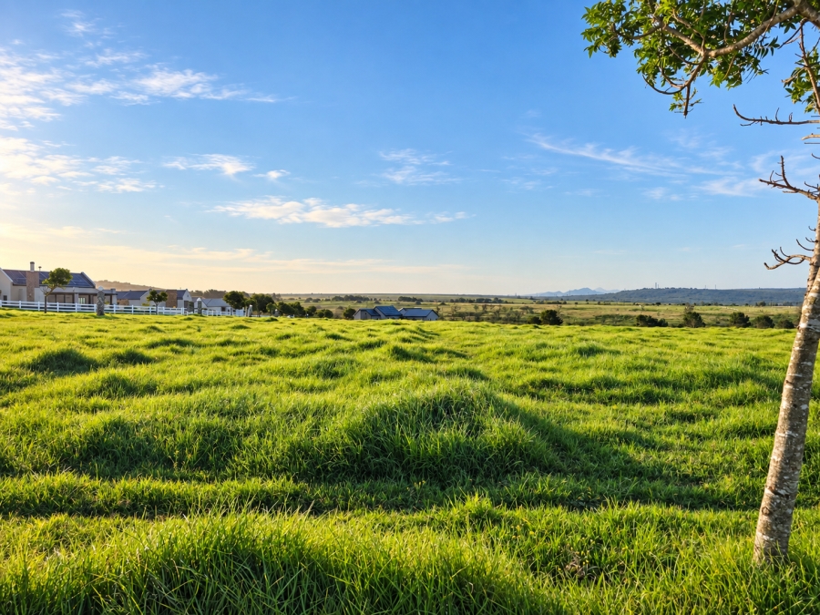 0 Bedroom Property for Sale in Kabeljauws Eastern Cape